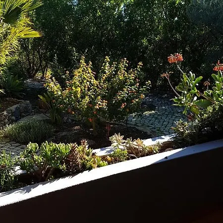 Casa Oliviera Moncarapacho