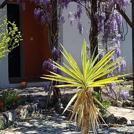Bed & Breakfast Casa Oliviera Moncarapacho