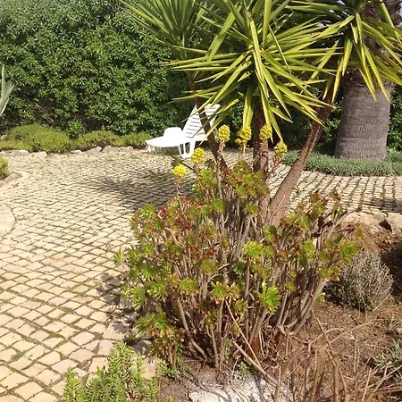 Bed and breakfast Casa Oliviera *