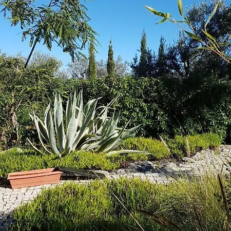 Casa Oliviera モンカラパッショ