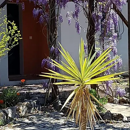 Casa Oliviera 3* Moncarapacho