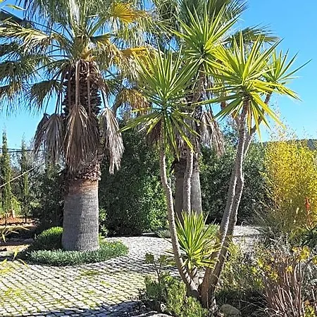 Casa Oliviera Bed & Breakfast Moncarapacho