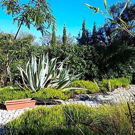 Bed & Breakfast Casa Oliviera Moncarapacho