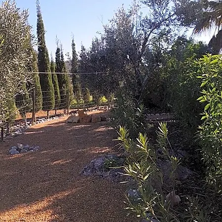 Bed & Breakfast Casa Oliviera 3*