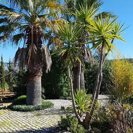 Casa Oliviera Moncarapacho