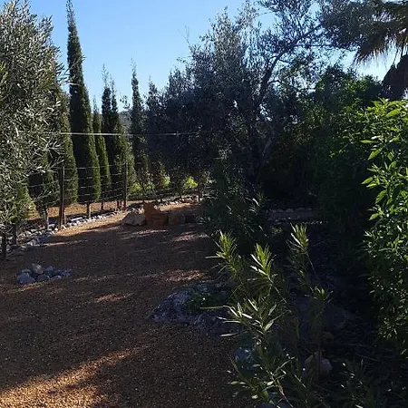 Casa Oliviera Bed and breakfast 3*